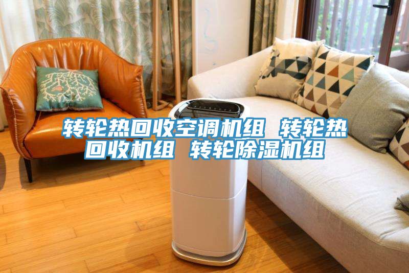 转轮热回收空调机组 转轮热回收机组 转轮小黄片直播视频组