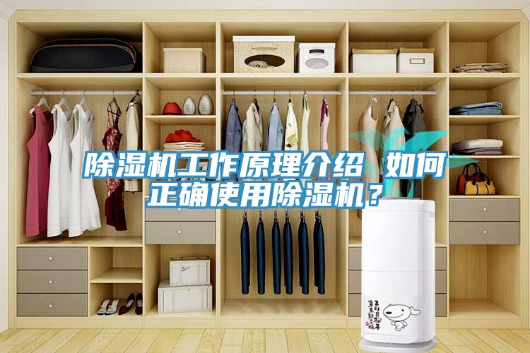 小黄片直播视频工作原理介绍 如何正确使用小黄片直播视频？