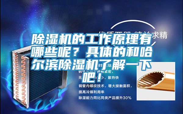 小黄片直播视频的工作原理有哪些呢？具体的和哈尔滨小黄片直播视频了解一下吧！