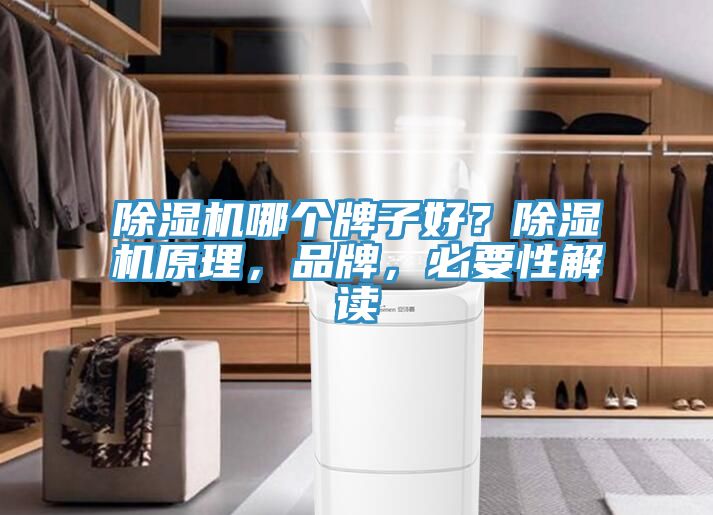 小黄片直播视频哪个牌子好？小黄片直播视频原理，品牌，必要性解读
