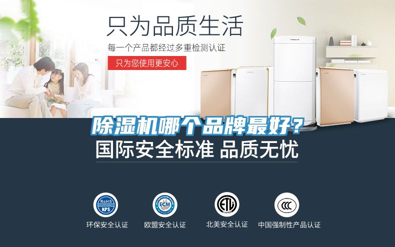 小黄片直播视频哪个品牌最好？
