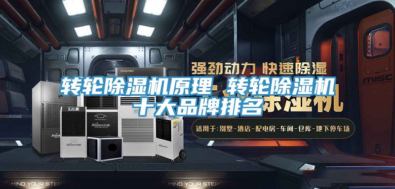 转轮小黄片直播视频原理 转轮小黄片直播视频十大品牌排名