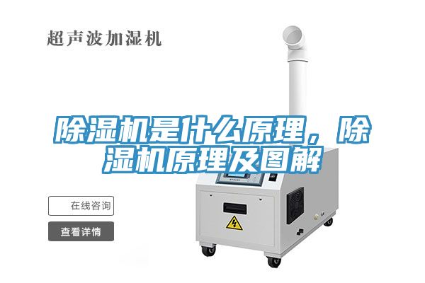 小黄片直播视频是什么原理，小黄片直播视频原理及图解