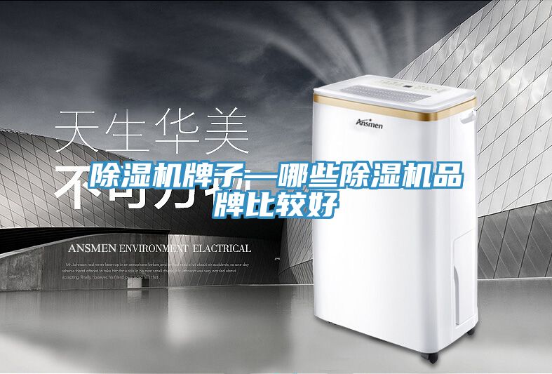 小黄片直播视频牌子—哪些小黄片直播视频品牌比较好