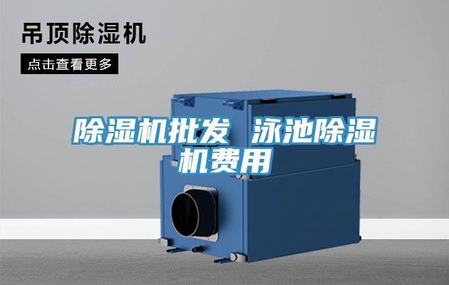 小黄片直播视频批发 泳池小黄片直播视频费用