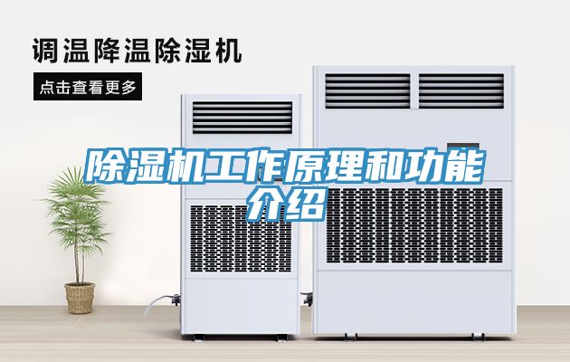 小黄片直播视频工作原理和功能介绍