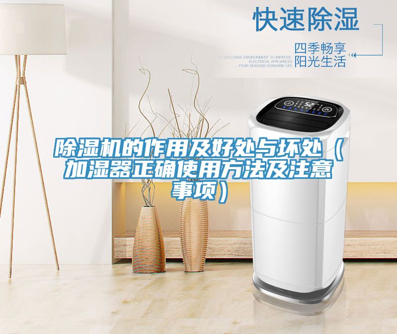 小黄片直播视频的作用及好处与坏处（加湿器正确使用方法及注意事项）