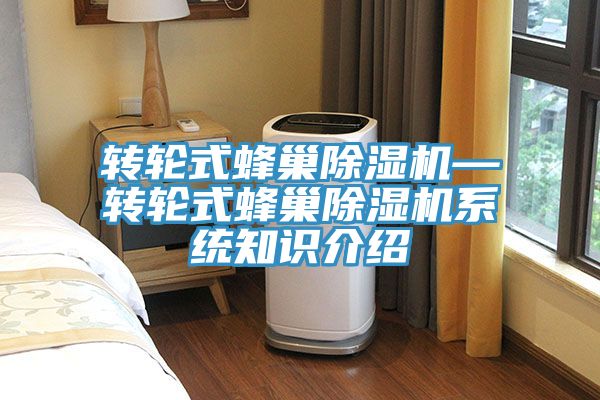 转轮式蜂巢小黄片直播视频—转轮式蜂巢小黄片直播视频系统知识介绍