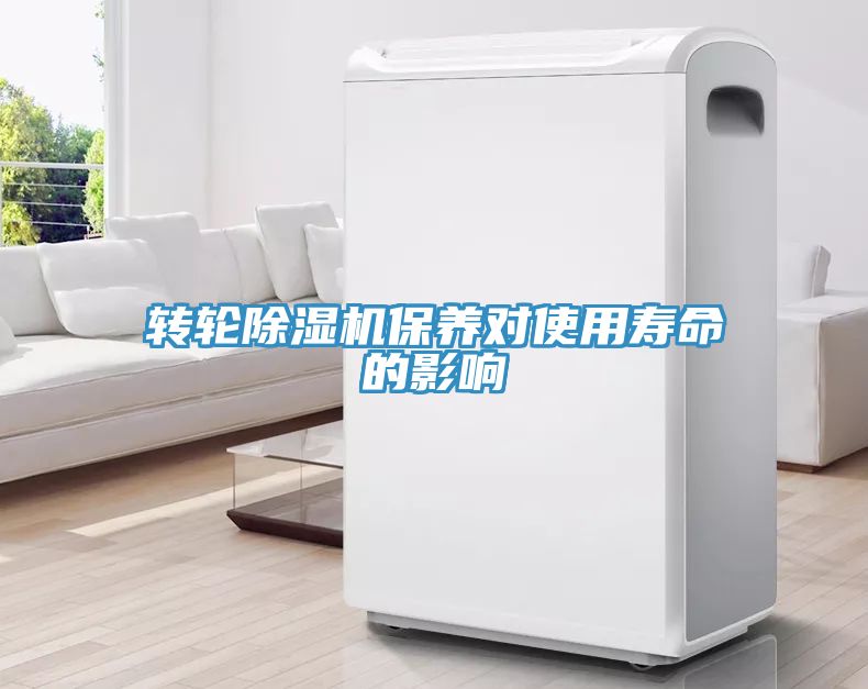 转轮小黄片直播视频保养对使用寿命的影响