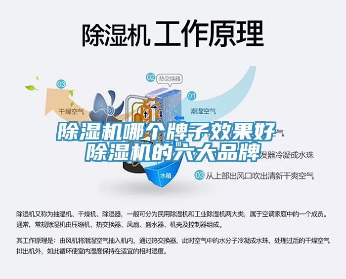 小黄片直播视频哪个牌子效果好 小黄片直播视频的六大品牌