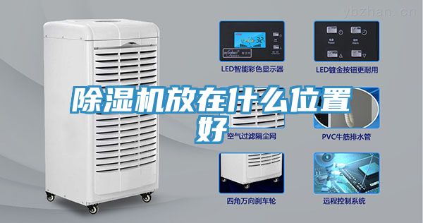 小黄片直播视频放在什么位置好
