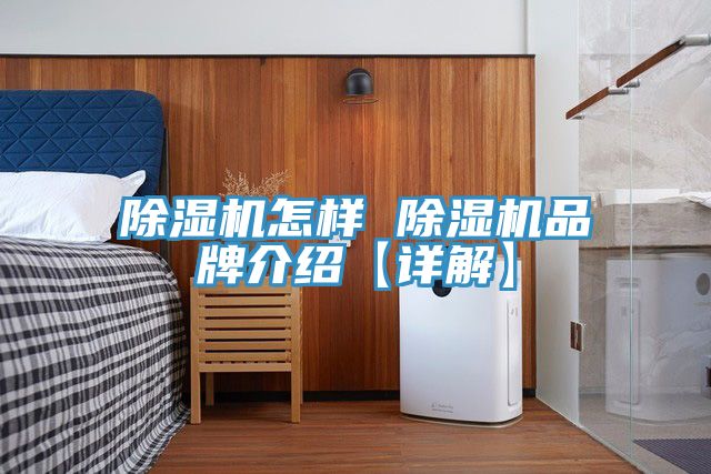 小黄片直播视频怎样 小黄片直播视频品牌介绍【详解】