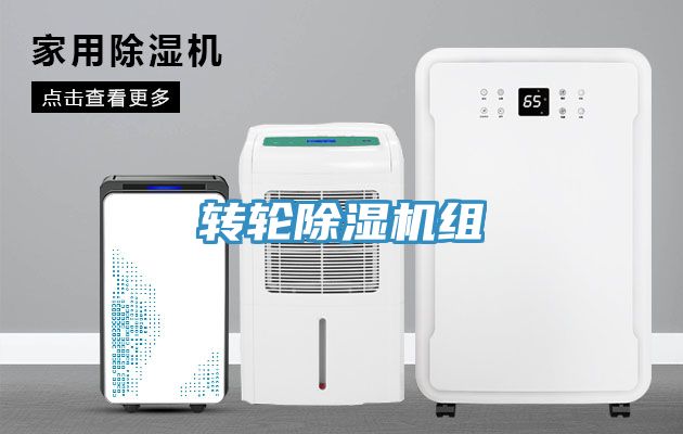 转轮小黄片直播视频组