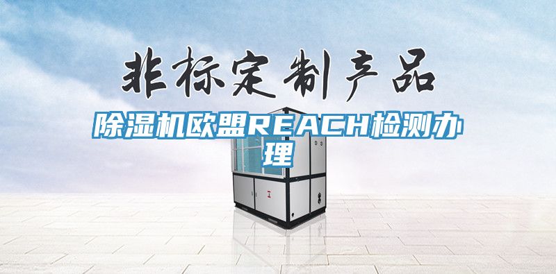 小黄片直播视频欧盟REACH检测办理
