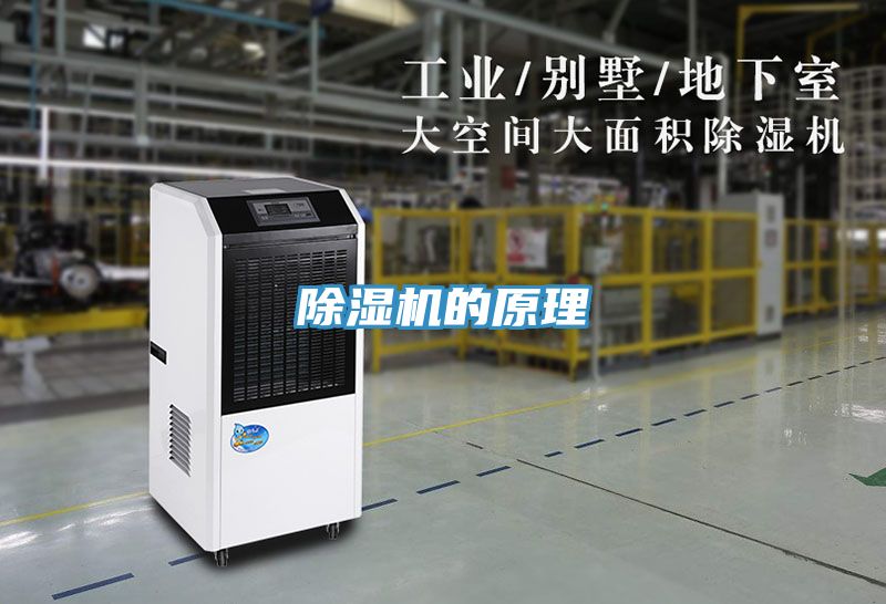 小黄片直播视频的原理