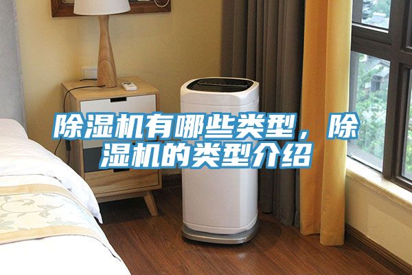 小黄片直播视频有哪些类型，小黄片直播视频的类型介绍