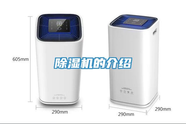 小黄片直播视频的介绍