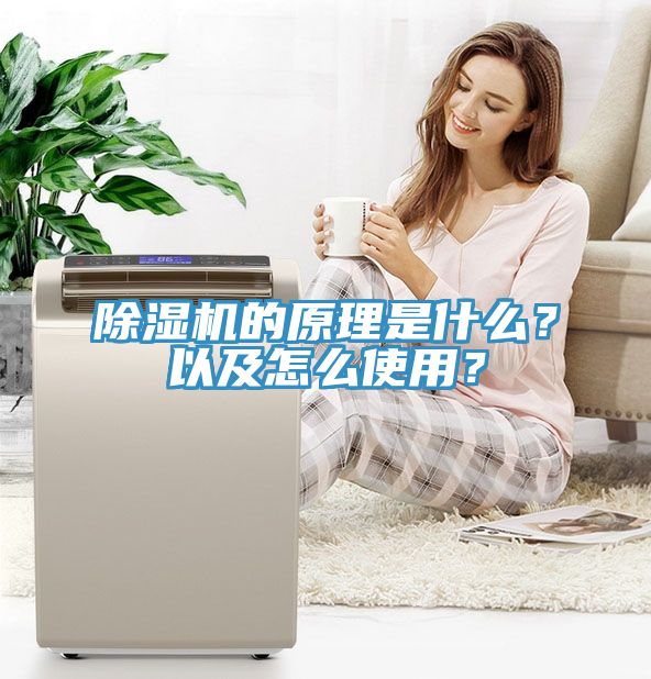 小黄片直播视频的原理是什么？以及怎么使用？