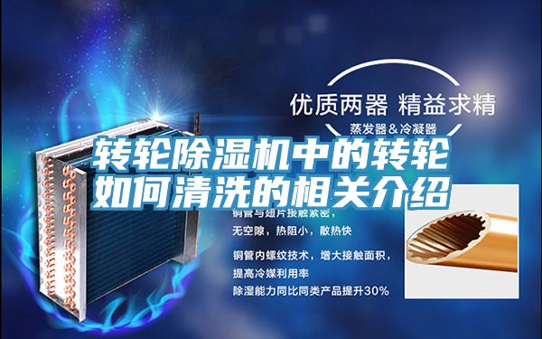 转轮小黄片直播视频中的转轮如何清洗的相关介绍