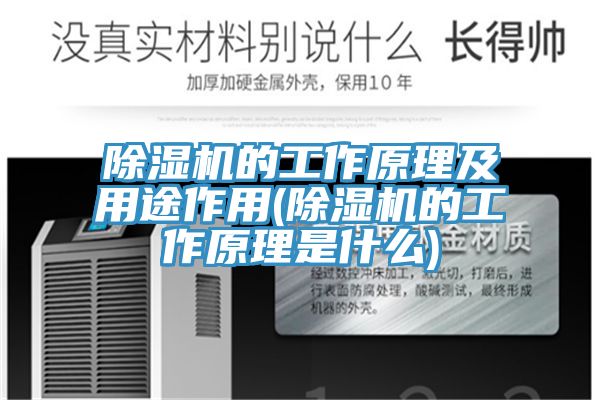 小黄片直播视频的工作原理及用途作用(小黄片直播视频的工作原理是什么)