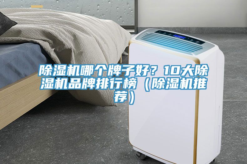 小黄片直播视频哪个牌子好？10大小黄片直播视频品牌排行榜（小黄片直播视频推荐）