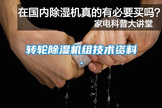 转轮小黄片直播视频组技术资料.