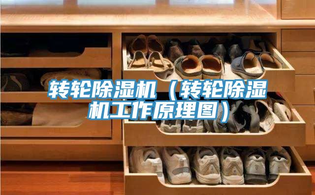 转轮小黄片直播视频（转轮小黄片直播视频工作原理图）