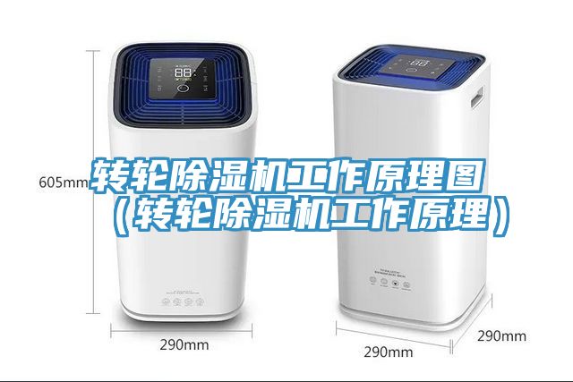 转轮小黄片直播视频工作原理图（转轮小黄片直播视频工作原理）