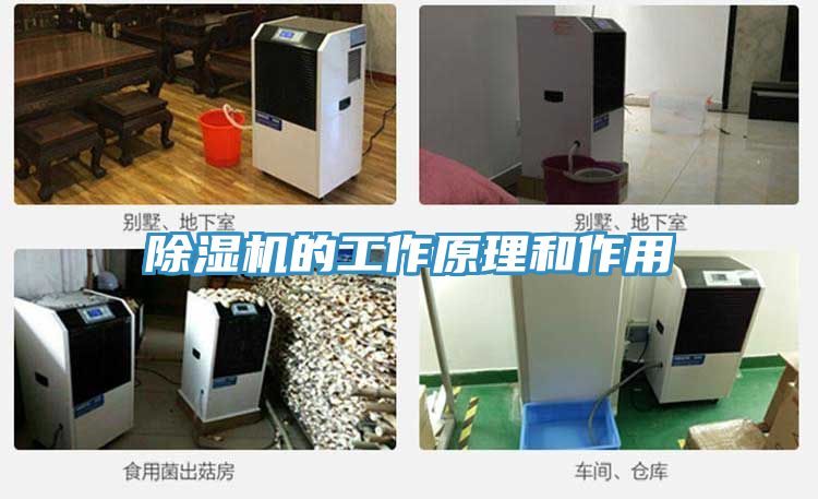 小黄片直播视频的工作原理和作用