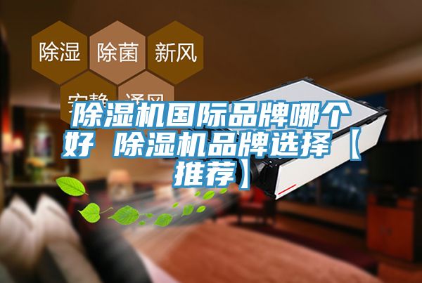 小黄片直播视频国际品牌哪个好 小黄片直播视频品牌选择【推荐】