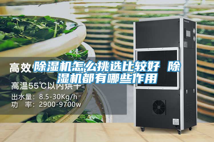 小黄片直播视频怎么挑选比较好 小黄片直播视频都有哪些作用