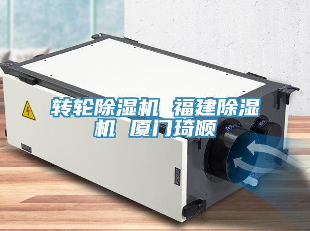 转轮小黄片直播视频 福建小黄片直播视频 厦门琦顺