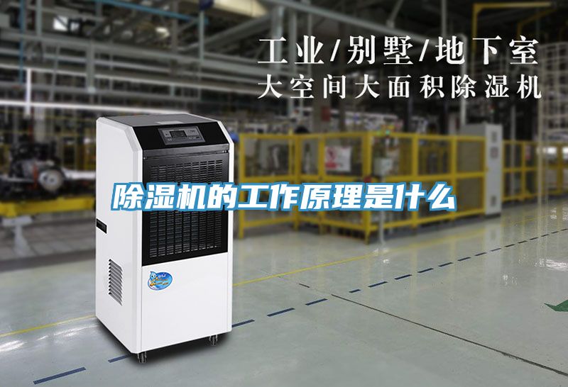 小黄片直播视频的工作原理是什么