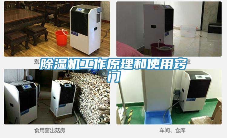 小黄片直播视频工作原理和使用窍门