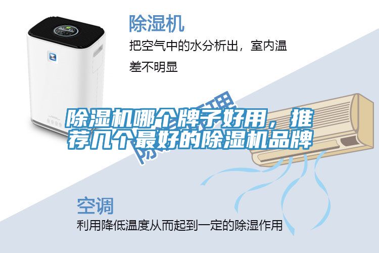 小黄片直播视频哪个牌子好用，推荐几个最好的小黄片直播视频品牌