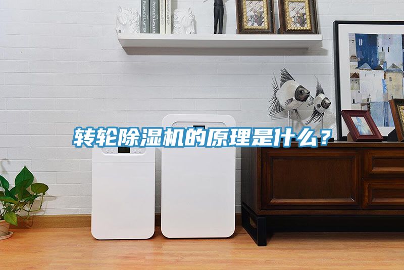 转轮小黄片直播视频的原理是什么？