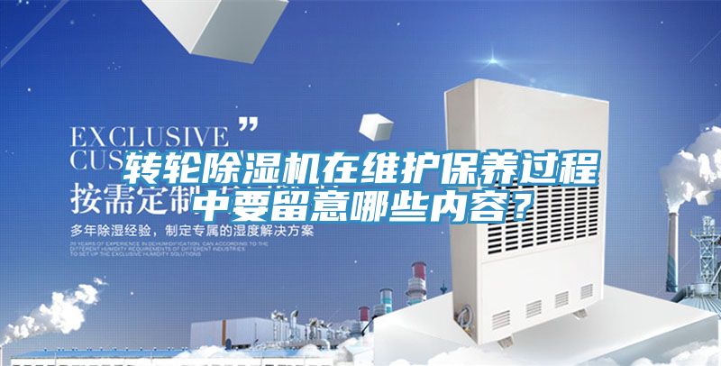转轮小黄片直播视频在维护保养过程中要留意哪些内容？