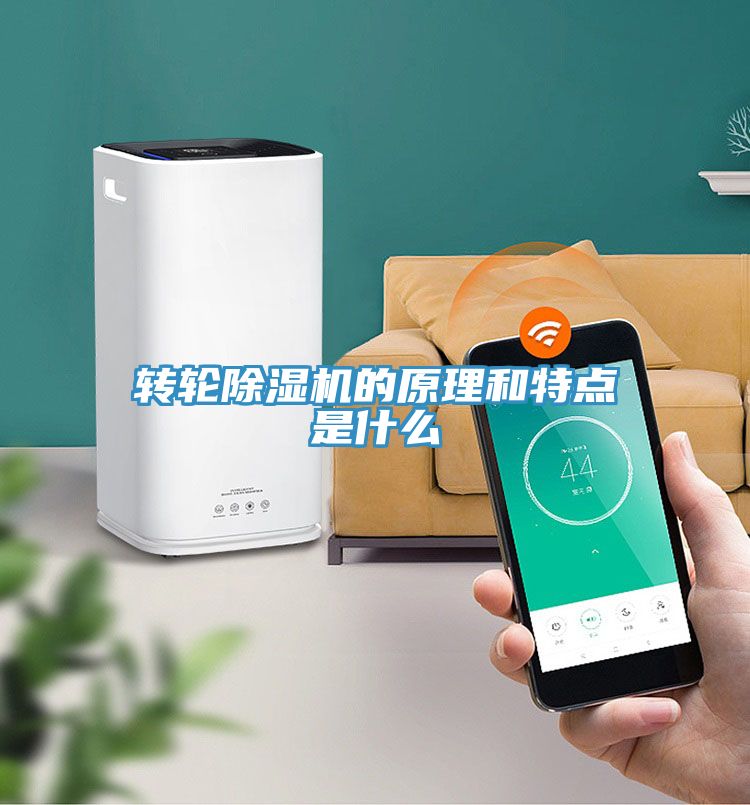转轮小黄片直播视频的原理和特点是什么