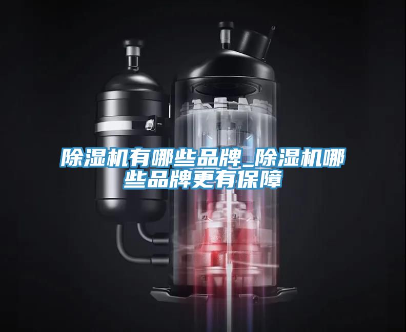 小黄片直播视频有哪些品牌_小黄片直播视频哪些品牌更有保障