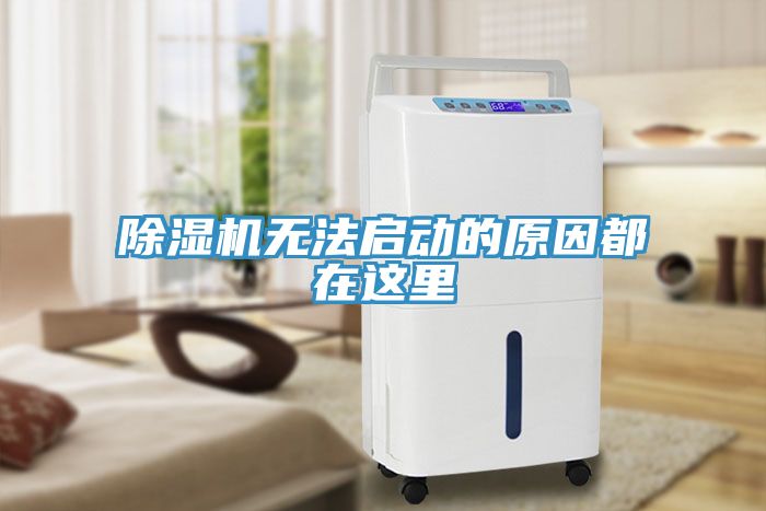 小黄片直播视频无法启动的原因都在这里