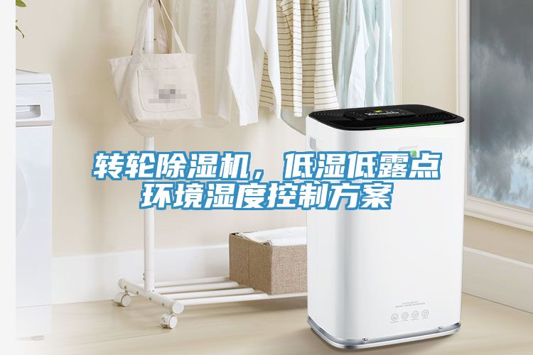 转轮小黄片直播视频，低湿低露点环境湿度控制方案