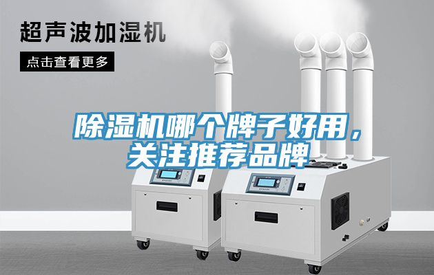 小黄片直播视频哪个牌子好用，关注推荐品牌