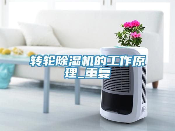 转轮小黄片直播视频的工作原理_重复