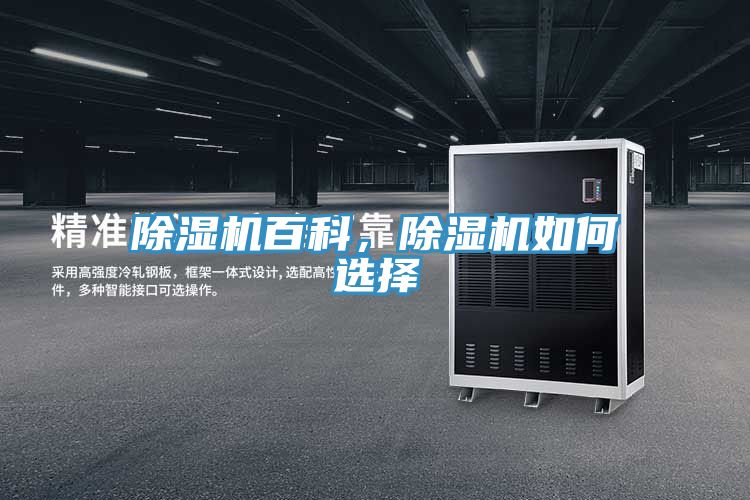 小黄片直播视频百科，小黄片直播视频如何选择