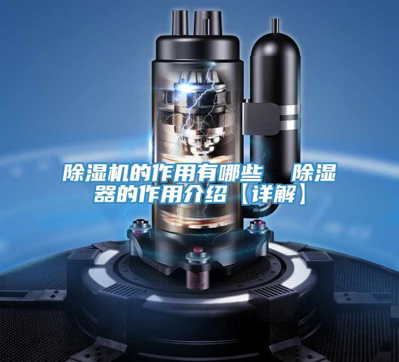 小黄片直播视频的作用有哪些  除湿器的作用介绍【详解】