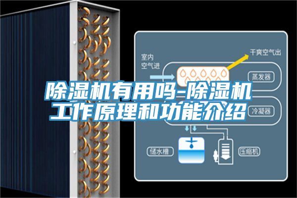 小黄片直播视频有用吗-小黄片直播视频工作原理和功能介绍
