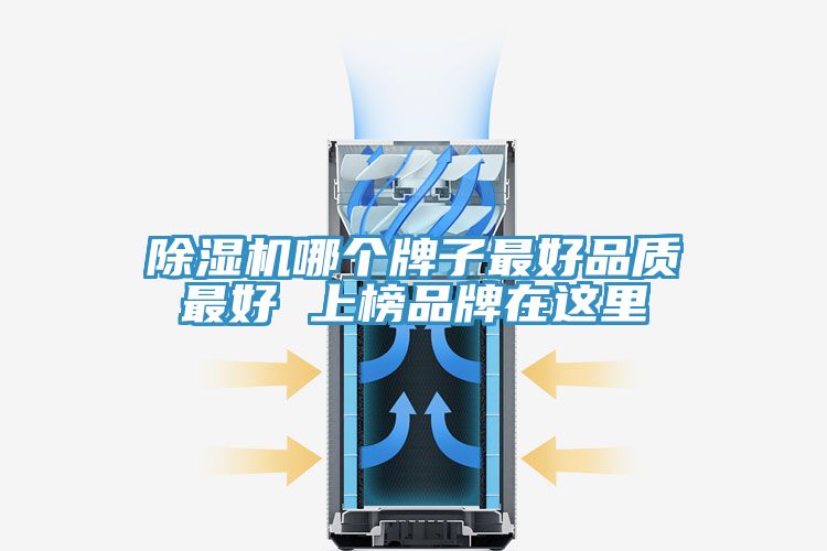 小黄片直播视频哪个牌子最好品质最好 上榜品牌在这里