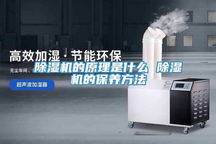 小黄片直播视频的原理是什么 小黄片直播视频的保养方法