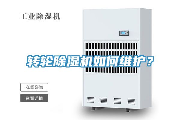 转轮小黄片直播视频如何维护？