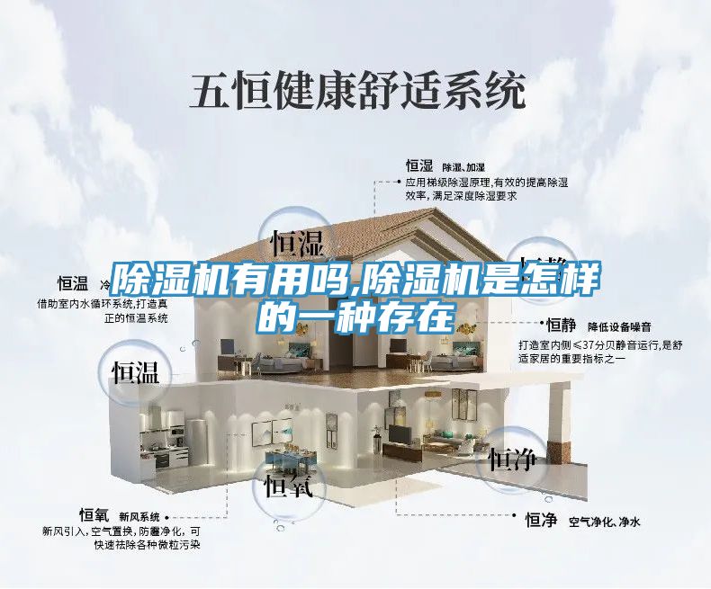 小黄片直播视频有用吗,小黄片直播视频是怎样的一种存在